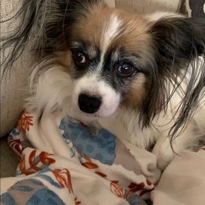 Meet your Posher, Sandra